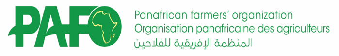 PAFO Logo
